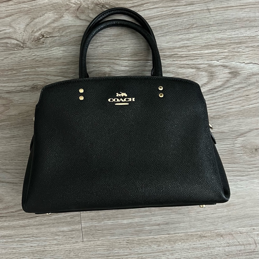 Mini Lillie Carryall Coach Purse